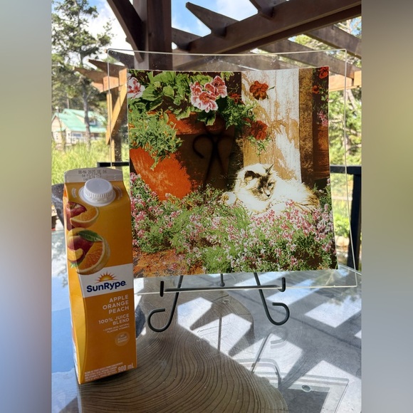 Large Square glass plate with a Cat - Picture 2 of 4